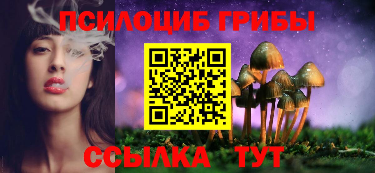 Галлюциногенные грибы GOLDEN TEACHER  Галлюциногенные грибы Psilocybine cubensis  Южноуральск  Вход с VPN 